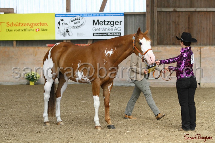 23-APHA SS_013.jpg